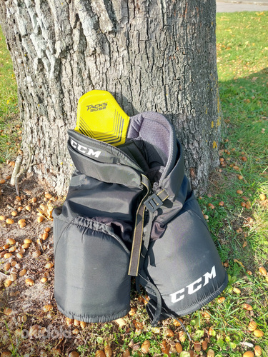 CCM Tacks 3092 Junior БРЮКИ