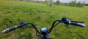 Elektritõukeratas Citycoco (3 foto / 4)