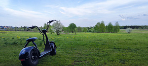 Elektritõukeratas Citycoco (4 foto / 4)