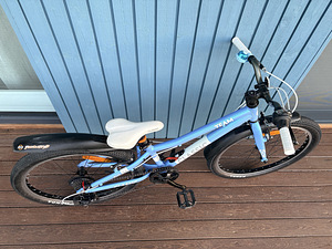 Jalgratas Classic 24 tolli (2 foto / 5)