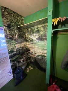 Pihlaka tee 1, Kiikla, Alutaguse vald, Ida-Virumaa (9 foto / 14)