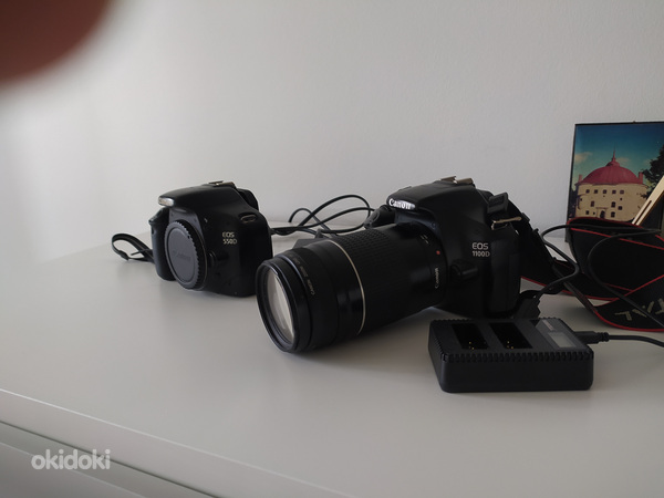 Canon EOS 1100D+Canon EOS 550D+зум объектив Canon 75-300 мм (фото #4)