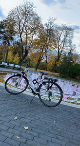 Naiste hübriidratas (3 foto / 6)