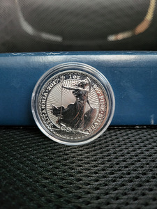 1 oz UK Britannia hõbemünt (erinevad) (9 foto / 10)