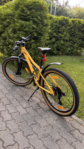 Scott Roxter 26 (alu)