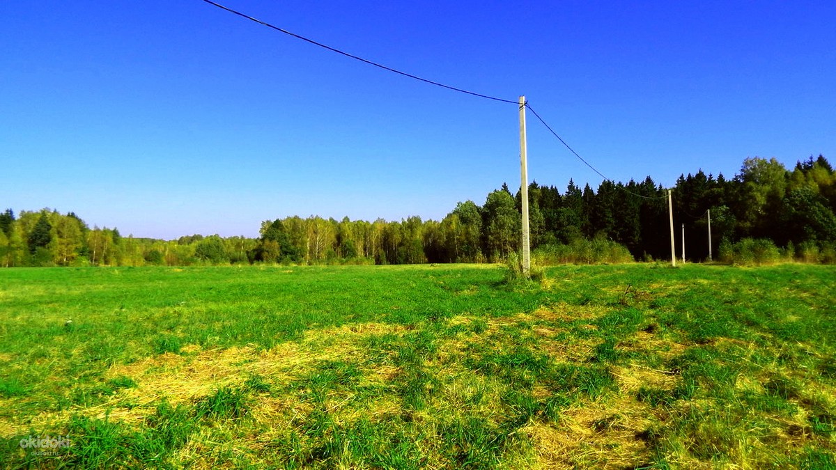 Продаж участок смоленского. Телеши Смоленский район. Улица Ягодная Смоленск.