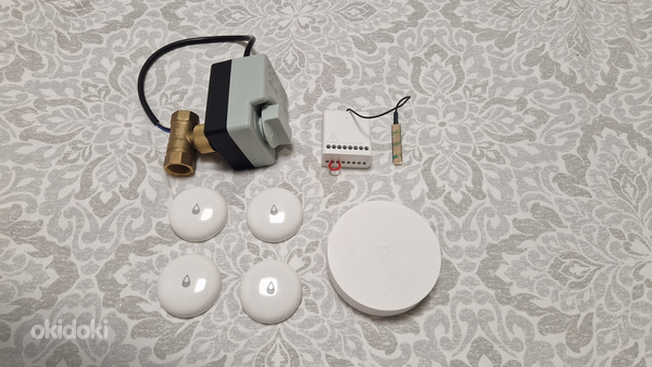 Tark kodu Zigbee. Veekahjustuste (v