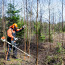 Töö metsas - работа в лесу (фото #1)