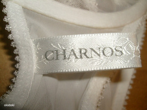 Charnos rinnahoidja (2 foto / 3)