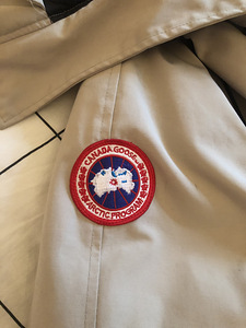 Canada Goose chilliwack (6 foto / 7)