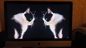 Apple 5K Monitor 5120x2880 27" Retina IPS, Display Mac mini (10 foto / 10)