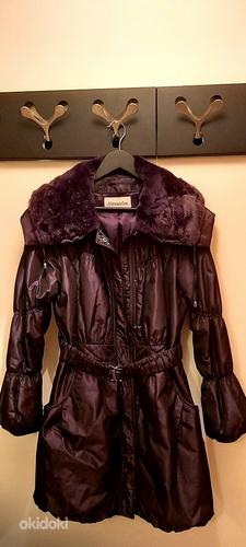 Женское пальто (фото #1)