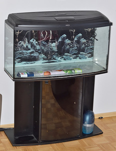 Panoraam klaasiga akvaarium. (1 foto / 4)