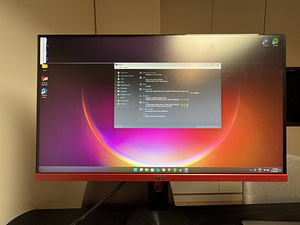 Monitor