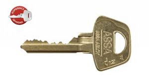 Cердечники Assa Abloy d12 1201, 1301 Овальные (2 фото из 5)