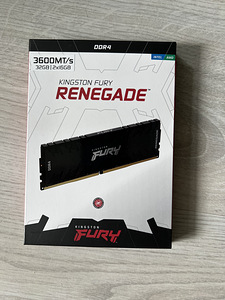 Kingston Fury Renegade 32GB 3600MT/s KF436C16RB1K2/32 (1 фото из 3)