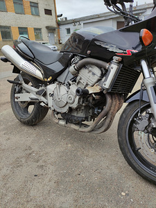 Honda hornet CB 600s (5 foto / 10)