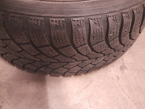 16 veljed Toyotale (4 foto / 4)