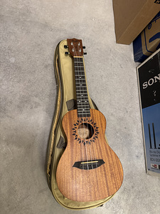 Ukulele - Flight