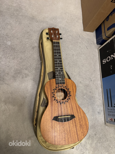 Ukulele - Flight