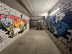 Raadiku tn 9, Lasnamäe, Tallinn, Harjumaa (2 foto / 7)