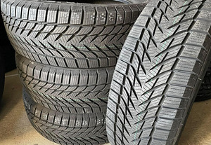 225/60/17 Joyroad Winter RX808 99t (1 foto / 1)