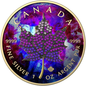 Hõbe Münt Canada Maple Leaf Seasons June 1 Oz Silver 2022 (5 foto / 6)