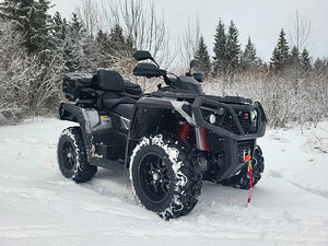 ODES 650L EPS V-Twin T3b 39kw 2023 ATV (5 foto / 10)