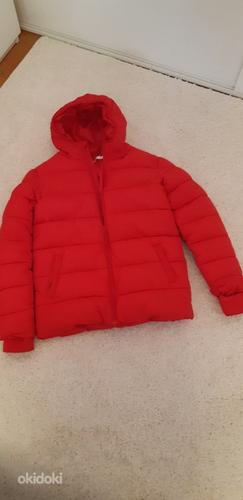 Зимняя куртка для мальчиков Debenhams, размер 152/156, 12/13 (фото #1)
