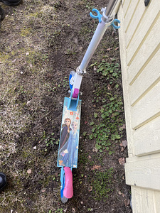 Tõukeratas Elsa (2 foto / 3)