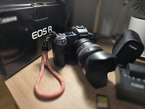 Canon R + Canon 50/1.4 + адаптер EF EOS R (8 фото из 9)