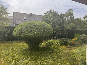 Heki pügamine (3 foto / 9)