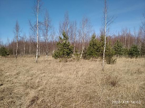 Kraavikalda, Haaslava, Kastre vald, Tartumaa (4 foto / 6)