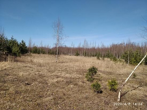 Kraavikalda, Haaslava, Kastre vald, Tartumaa (5 foto / 6)