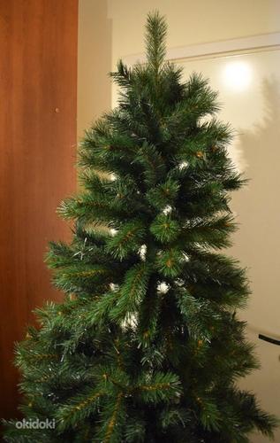 Kokkupandav Jõulupuu (foto #3)