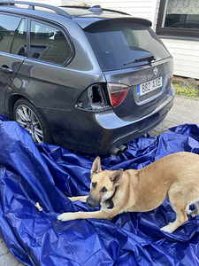 Varuosadeks - BMW E91 330XD 170kW (Tehase M-Pakett) (6 foto / 9)