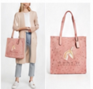 Coach canvas shopping kott (4 foto / 5)