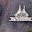 Korovec, Korovets k-175 fuel petrol original tank (foto #1)