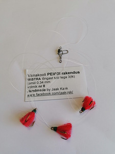 Peipsi rakendused ahvenale (6 foto / 6)