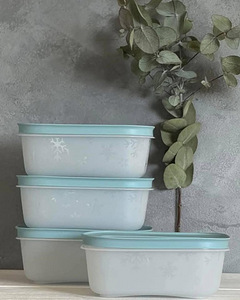 Toidukarbid Tupperware, kohe olemas! (10 foto / 10)