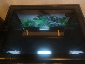 Roomajate terraarium (3 foto / 9)