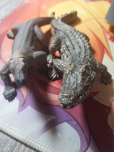 Krokodilli ja sisaliku mänguasi