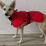Пальто для собаки / Mantel koerale (фото #3)