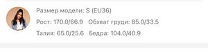 Uus seelik koos SHEIN Uus seelik SHEINist (2 foto / 2)