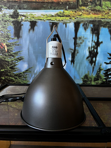 Arcadia clamp lamp