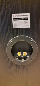 Radiotehnika SM-300 suured põrandakõlarid (4 foto / 4)