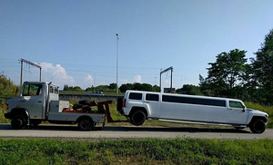 Puksiir Mercedes bens vario (2 foto / 10)