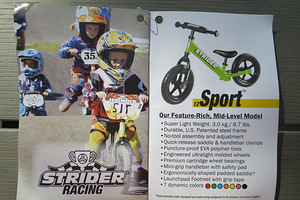Strider jooksuratas koos suuskadega (6 foto / 10)