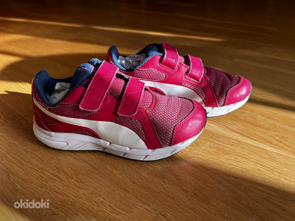 Puma tossud s.31