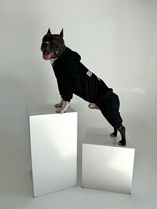 koera kombinesoon (1 foto / 5)